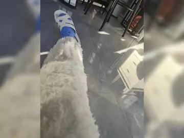 Selinababy99のBongacamsでライブポルノ配信