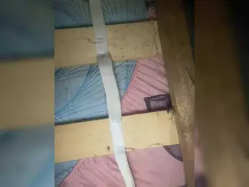 candiceloveeのBongacamsでセックスチャット