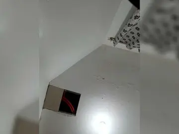 candiceloveeのBongacamsでヌードカメラ