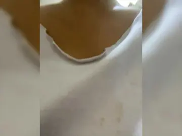 candiceloveeのBongacamsでセックスチャット