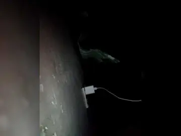 candiceloveeのBongacamsでライブチャット