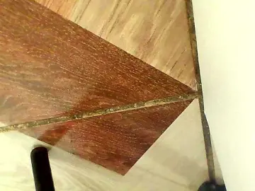 Shannon-kaneのBongacamsで無料ポルノカメラ