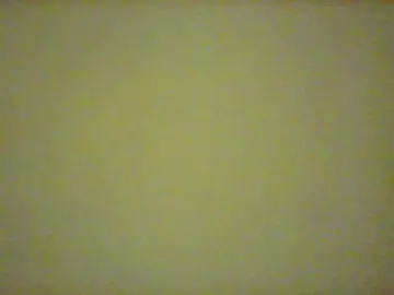 RarraのBongacamsでプライベートチャット