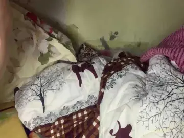 Daisy119のBongacamsでライブポルノ配信