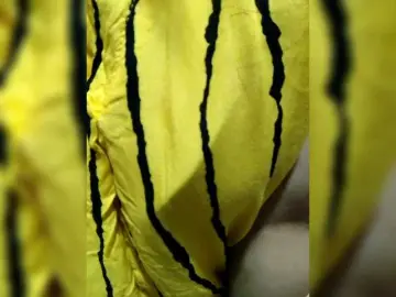 candyshaneのBongacamsでセックスカメラ