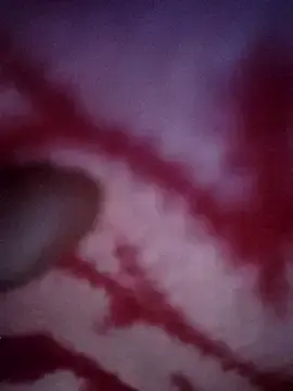 sana14のStripchatで高画質ウェブカメラ