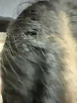 PoojaxdelhiのStripchatでヌードカメラ