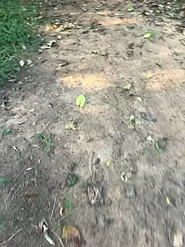 pimange34のStripchatでセックスカメラ