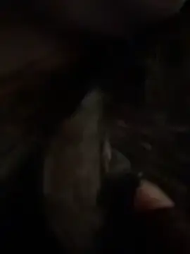 Peachy_DreamのStripchatでアダルトビデオチャット