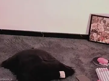 LilithCaryのStripchatでセックスカメラ