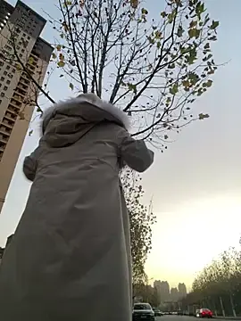 xinmengAZのStripchatでアダルトカメラ配信